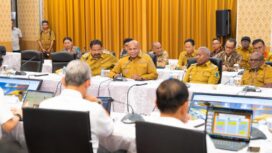 Gubernur Papua, Matius D. Fakhiri melakukan audiensi dengan Direktur Jenderal Perimbangan Keuangan / Istimewa