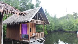 Homestay yang berada di area penyangga konservasi Pulau Waigeo Timur, Kampung Waifoi, Raja Ampat / Istimewa