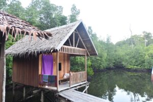 Homestay yang berada di area penyangga konservasi Pulau Waigeo Timur, Kampung Waifoi, Raja Ampat / Istimewa
