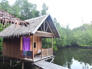 Homestay yang berada di area penyangga konservasi Pulau Waigeo Timur, Kampung Waifoi, Raja Ampat / Istimewa