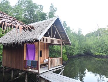 Homestay yang berada di area penyangga konservasi Pulau Waigeo Timur, Kampung Waifoi, Raja Ampat / Istimewa