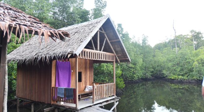 Homestay yang berada di area penyangga konservasi Pulau Waigeo Timur, Kampung Waifoi, Raja Ampat / Istimewa