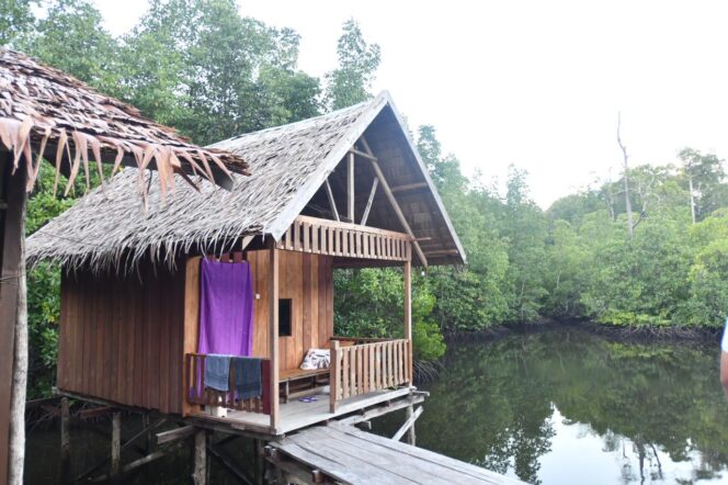 
					Homestay yang berada di area penyangga konservasi Pulau Waigeo Timur, Kampung Waifoi, Raja Ampat / Istimewa