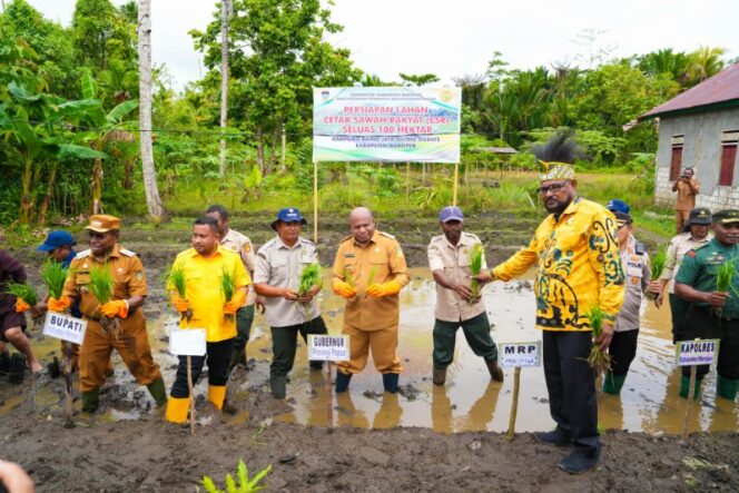 
					Gubernur Papua, Matius D. Fakhiri turut menanam padi perdana di Kabupaten Waropen / Istimewa