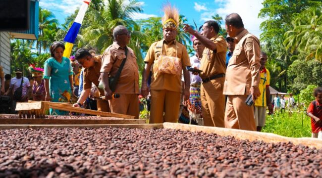 Gubernur Papua, Matius D. Fakhiri saat mengunjungi petani kakao di Kampung Konti, Menawi, Kepulauan Yapen / Istimewa