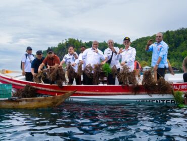 Gubernur Papua, Matius D. Fakhiri saat mengunjungi kawasan budidaya rumput laut di Kepulauan Yapen / Istimewa