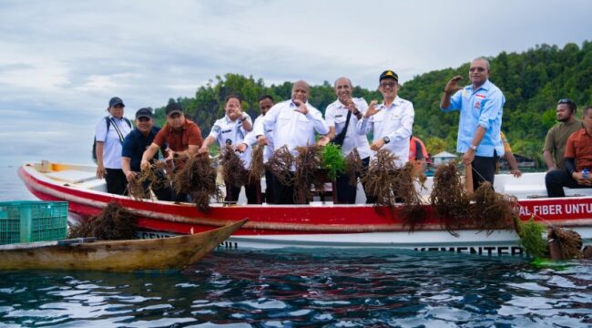 Gubernur Papua, Matius D. Fakhiri saat mengunjungi kawasan budidaya rumput laut di Kepulauan Yapen / Istimewa